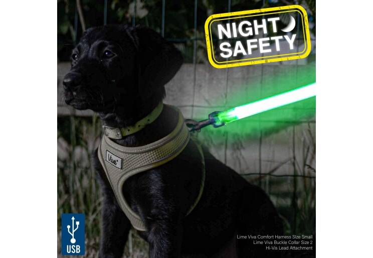 Hi-Viz Flashing Lead Attachment